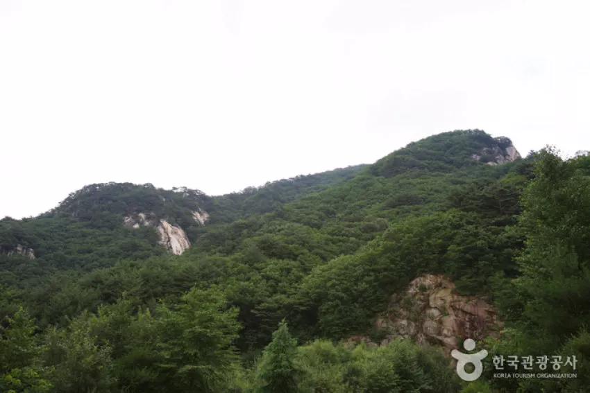 용화산 - 강원평화지역 국가지질공원