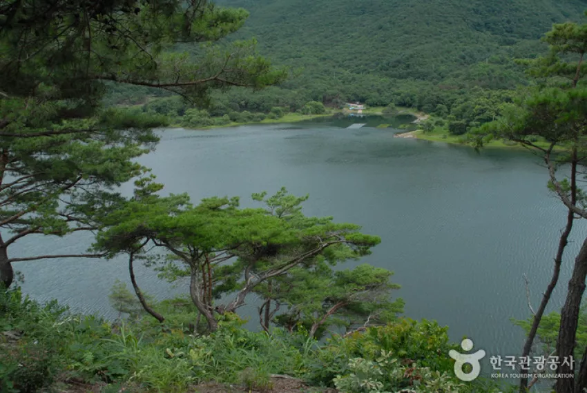 맑은 물이 있는 둔율올갱이마을 캠핑 - 웰촌