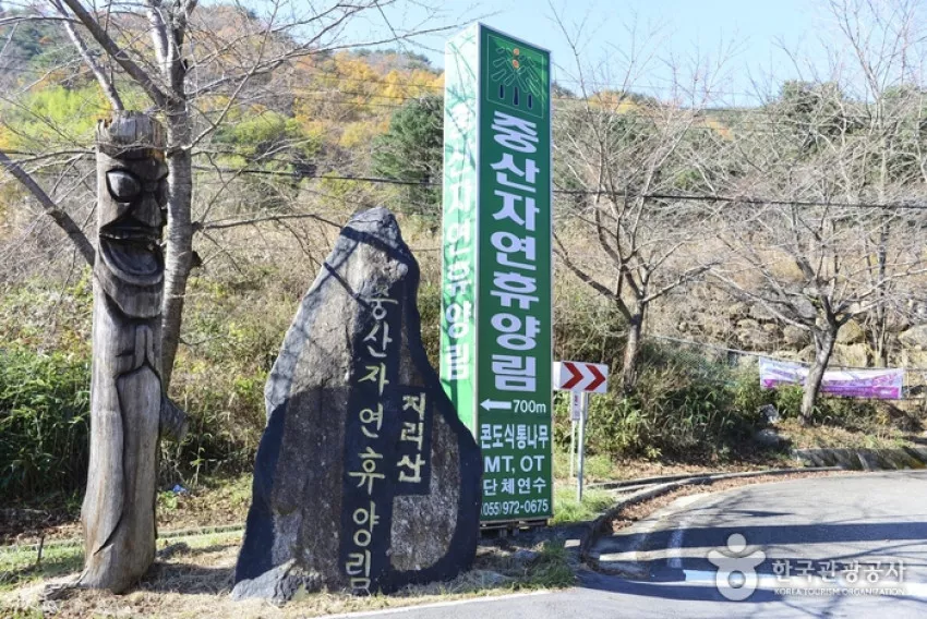 경남_산청_지리산 중산리자연휴양림01