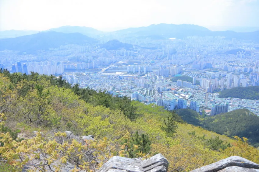 장산 - 부산 국가지질공원